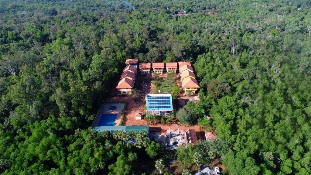 Jungle Resort — photo 2