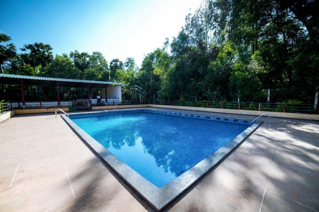 Jungle Resort — photo 3