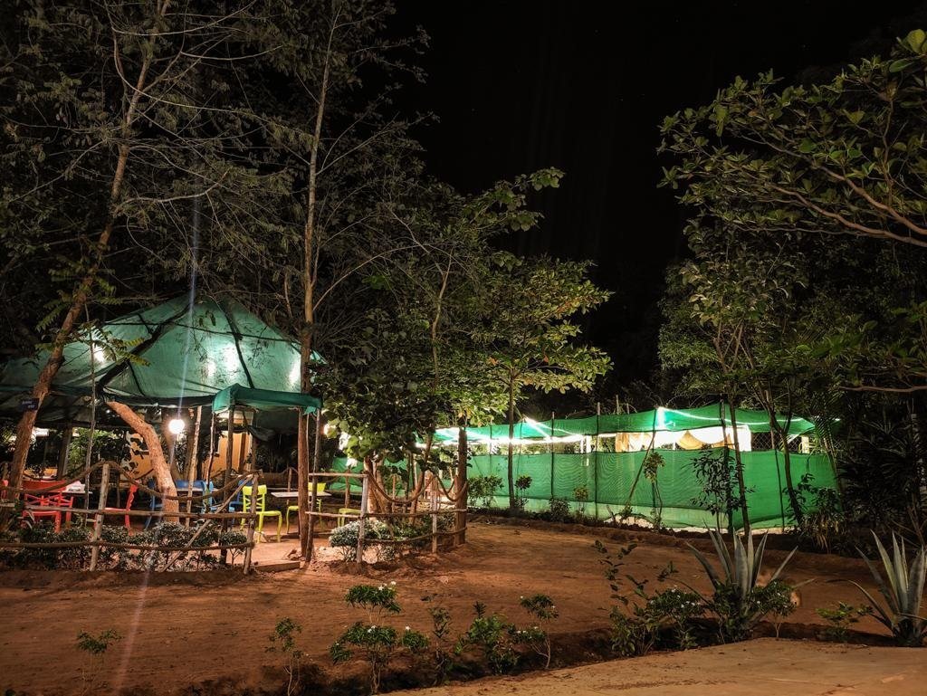 Jungle Resort — photo 5