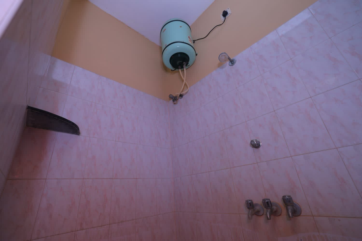 Paradise Harsha Villa — photo 2