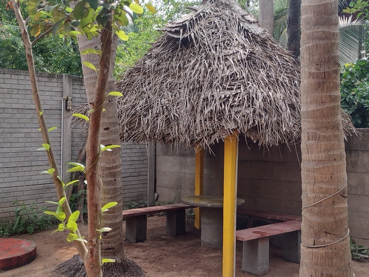 Paradise Yellow Beach House — photo 5