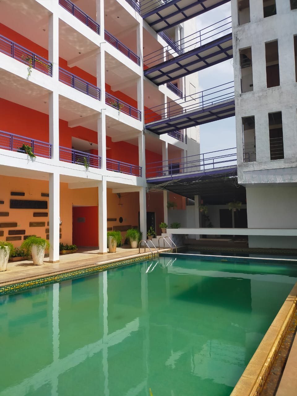 Purple Resort — photo 1